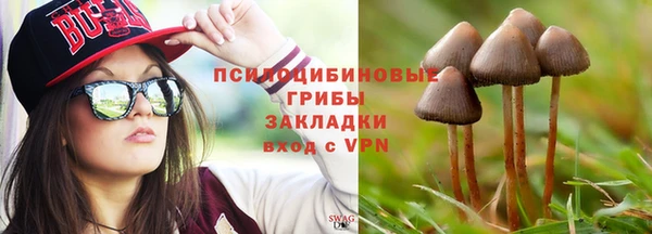 PSILOCYBIN Аркадак