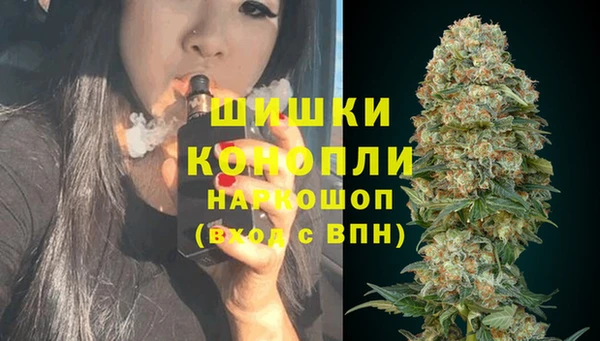 PSILOCYBIN Аркадак