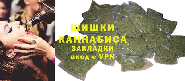 индика Переславль-Залесский