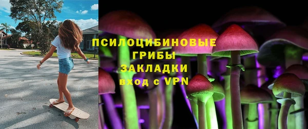 PSILOCYBIN Аркадак