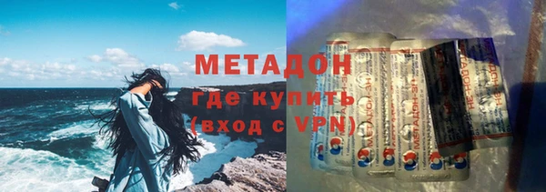 прущие грибы Арсеньев