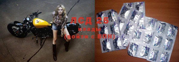прущие грибы Арсеньев