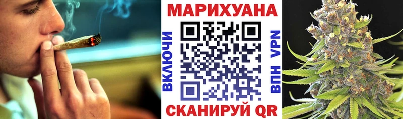 Каннабис конопля Апатиты